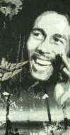 {u}[[sVc@Bob Marley T-shirt@{u}[[̂sVc@{usVc