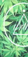 KW̃s@}t@i̒sVc@g[i[@MARIJUANA Tshirt@喃sVc@Jbg\[