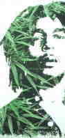 {u}[[@@XEFbg@Bob Marley@}t@i@XEFbg@QG@{uE}[[̃g[i[