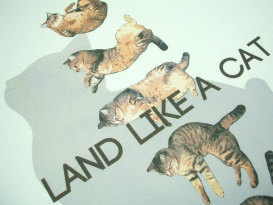 sVc@L@lR̂sVc@LsVc@T-shirt Cat@LbgsVc