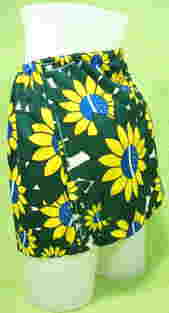 ブラジル国旗モチーフのショートパンツ　ブラジル直輸入　女性サイズスカート　ミニスカート　サンバ　ダンス　衣装