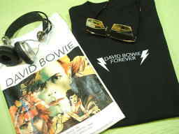 デヴィッド・ボウイのＴシャツ　デヴィット・ボウイのＴシャツ　デビィット・ボウイのＴシャツ　デビィッド・ボウイのＴシャツ　David Bowie Tshirt