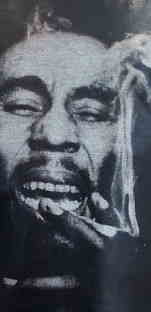 X[LO{u}[[sVc@Bob Marley@喃sVc@}t@isVc@X^@QG@{uE}[[̂sVc